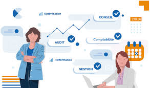 comptable optimisation fiscale