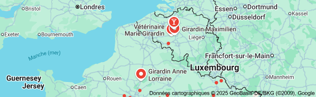 Optimisez Vos Investissements avec le Dispositif Girardin