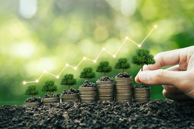 entreprise investissement