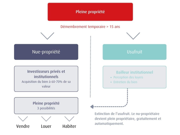 demembrement bien immobilier
