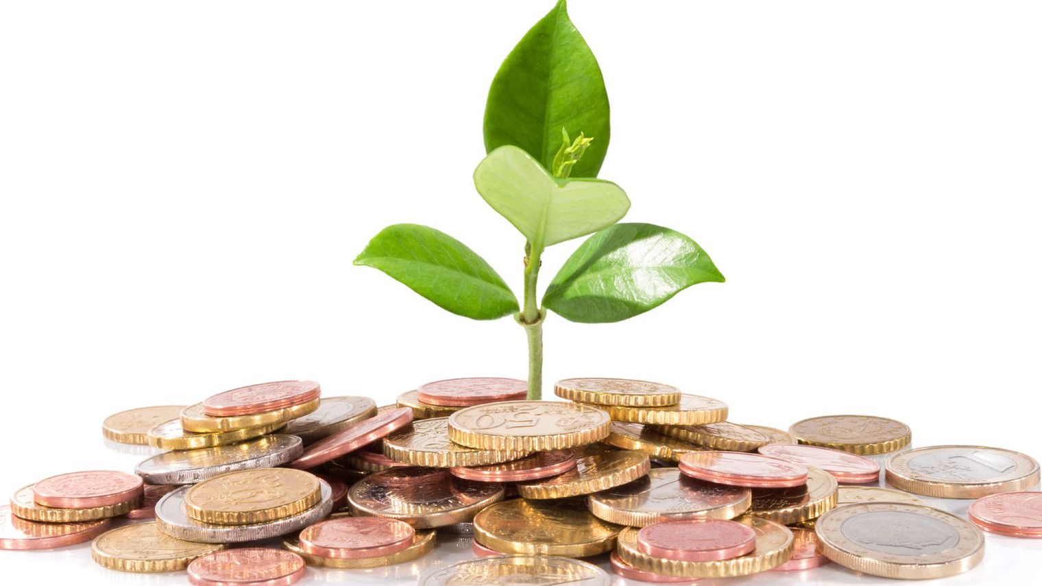 investir dans des entreprises