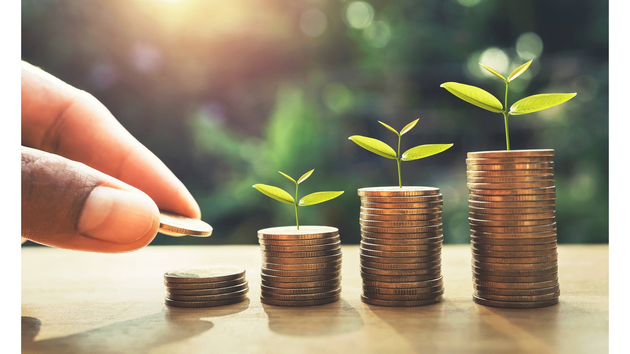 Maximisez Vos Épargnes pour un Avenir Financier Sûr