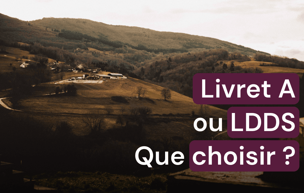 Les Plafonds du Livret de Développement Durable et Solidaire (LDDS) : Ce qu&rsquo;il Faut Savoir